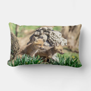 Cojín Lumbar Kits de Fox en el Valle de Hudson