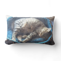 Kitty se toma la siesta, el gato del tigre de Tabb