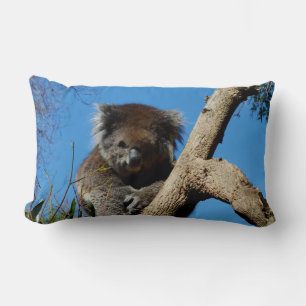 Cojín Lumbar Koala Lleva El Whisperer Del Árbol,