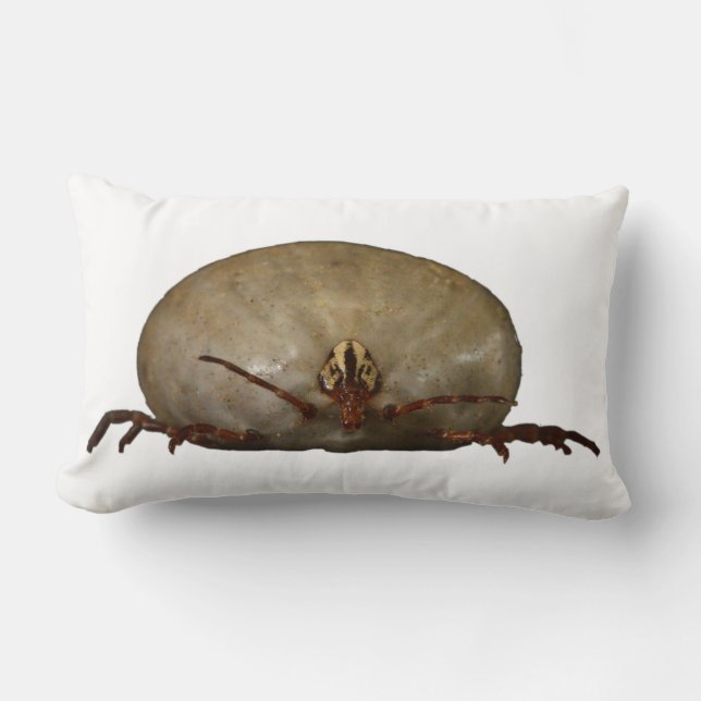 Cojín Lumbar La señal (Anverso)