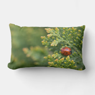 Cojín Lumbar Ladybug