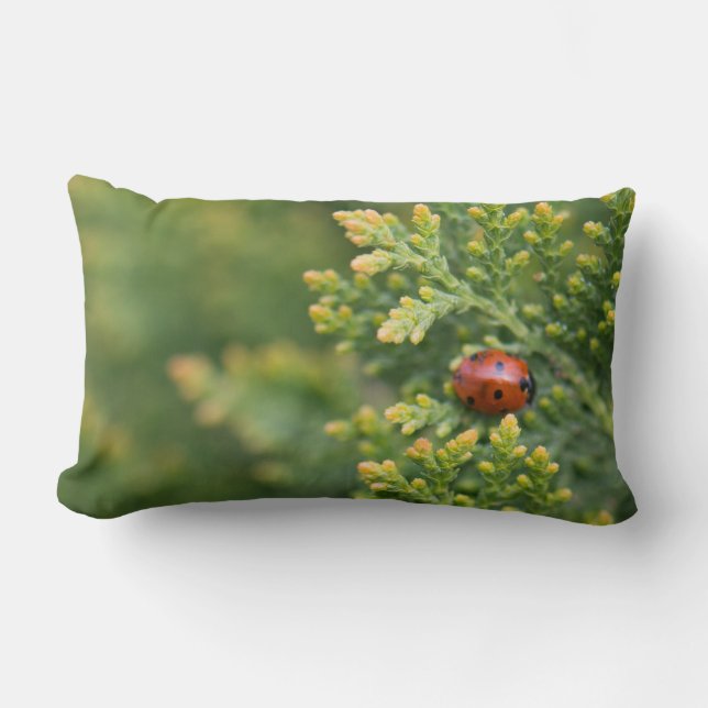 Cojín Lumbar Ladybug (Anverso)