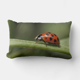 Cojín Lumbar Ladybug Insect