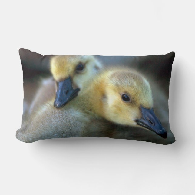 Cojín Lumbar Lakeside (Anverso)