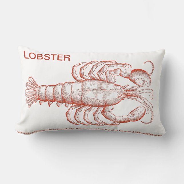 Cojín Lumbar Langosta roja (Anverso)