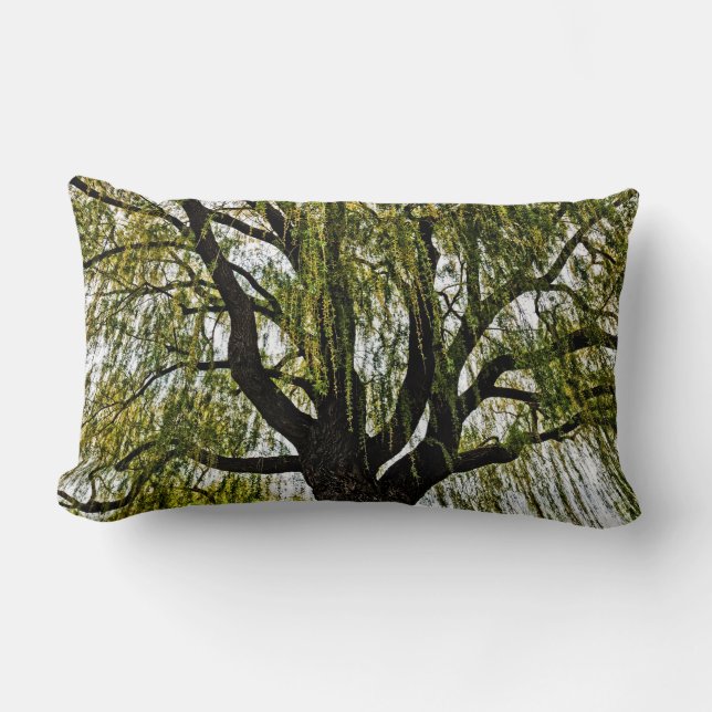 Cojín Lumbar las esperanzas de primavera apagadas (Anverso)