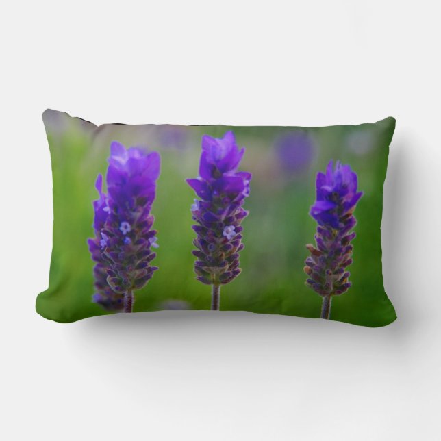 Cojín Lumbar lavanda (Anverso)