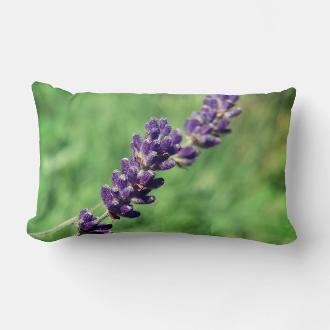 Cojín Lumbar Lavender Stalk Photo Lumbar Cushion (Anverso)