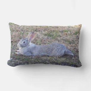Cojín Lumbar Lazy Bunny Pillow