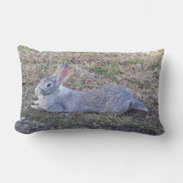 Cojín Lumbar Lazy Bunny Pillow (Anverso)