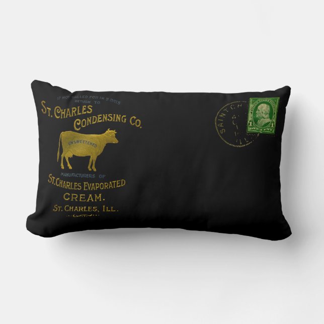 Cojín Lumbar LECHE LÁCTEA LECHE LÁCTEA DE St Charles Illinois 1 (Anverso)