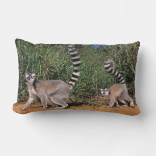 Cojín Lumbar Lémures de cola anillada (Lemur Catta), Berenty