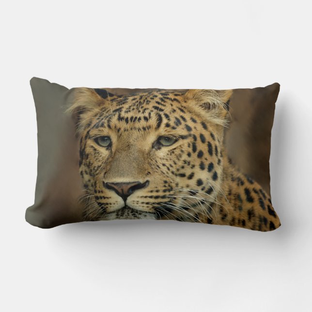 Cojín Lumbar Leopard Lovers Art (Anverso)