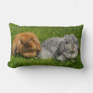 Cojín Lumbar Lionhead Holland Mini Conejo Conejo Conejo Conejo