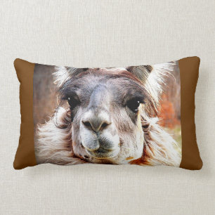 Cojín Lumbar Llama