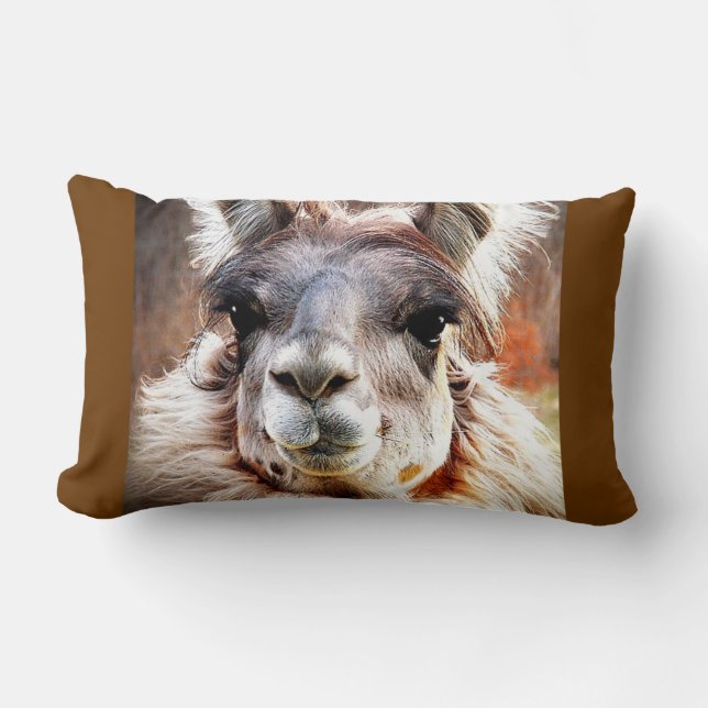 Cojín Lumbar Llama (Anverso)
