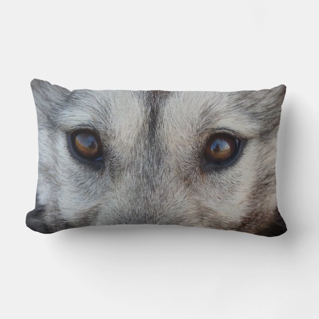Cojín Lumbar Lobo Ojos Pillow Husky Lobo Pup Pillows Regalos (Anverso)