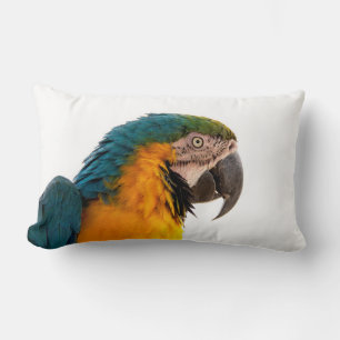 Cojín Lumbar Loro