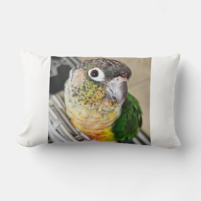 Cojín Lumbar Loro de coneja de mejilla verde (Anverso)