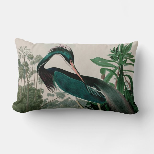 Cojín Lumbar Louisiana Heron Birds of America Audubon Print (Anverso)
