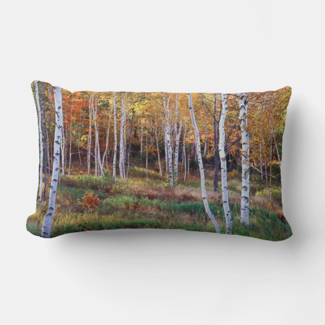 Cojín Lumbar Maine, Parque Nacional de Acadia, otoño (Anverso)