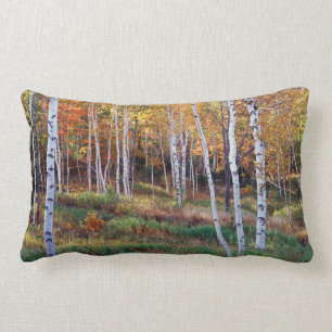 Cojín Lumbar Maine, Parque Nacional de Acadia, otoño