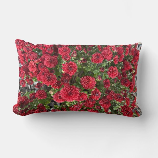 Cojín Lumbar Mamáes de botón de Borgoña (Anverso)