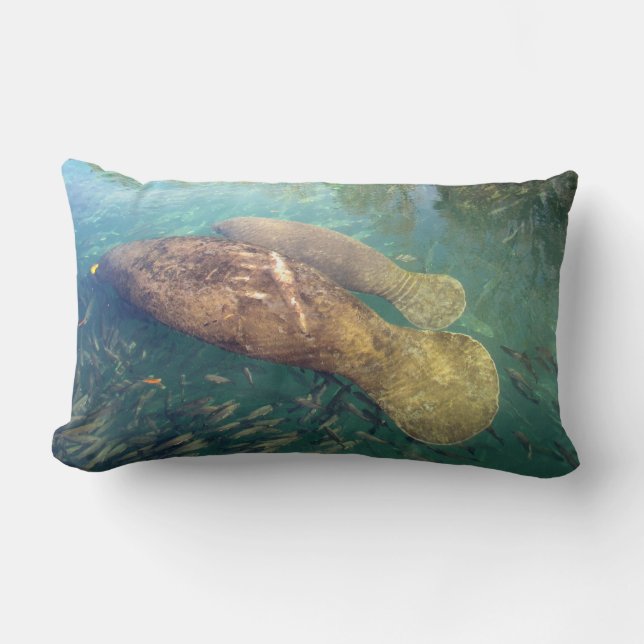 Cojín Lumbar Mami and Baby Manatee Pillow (Anverso)