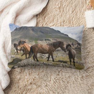 Cojín Lumbar Manada de caballos, cerca de Hofn, Islandia