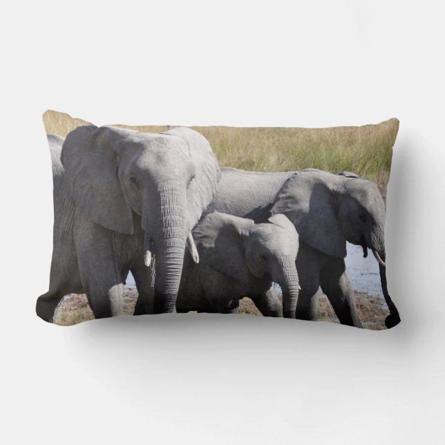 Cojín Lumbar Manadas del elefante de África (Anverso)