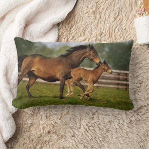 Cojín Lumbar Mare de castaño y estofado tostados