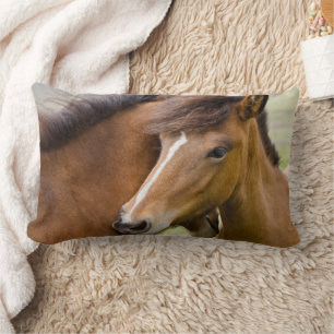 Cojín Lumbar Mare Y Colt