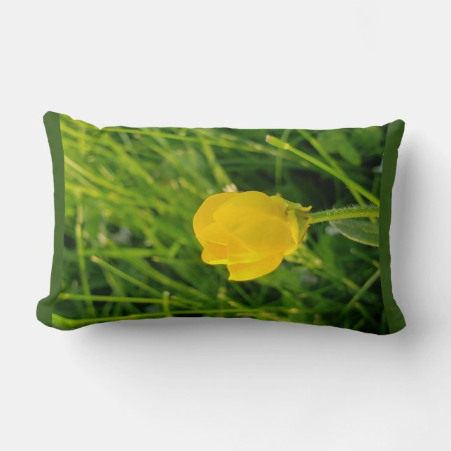 Cojín Lumbar mariposa (Anverso)