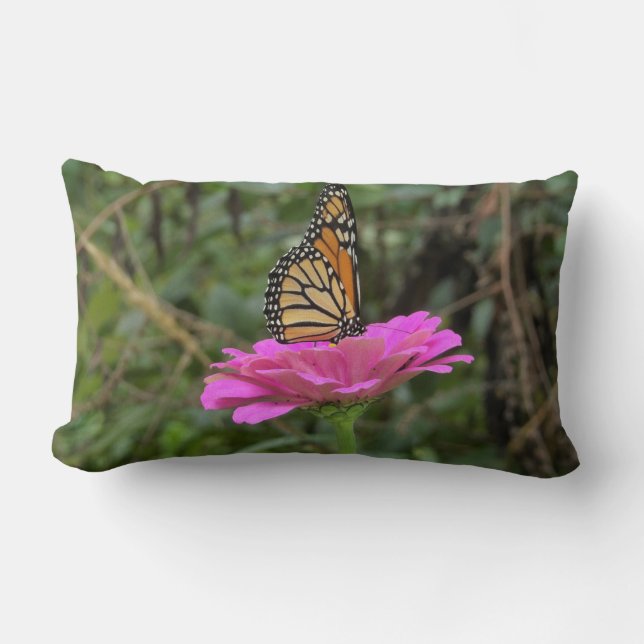 Cojín Lumbar Mariposa monarca en una flor rosada de la zinnia B (Anverso)