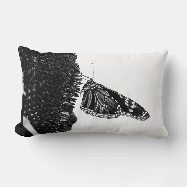 Cojín Lumbar mariposa tímida blacq (Anverso)