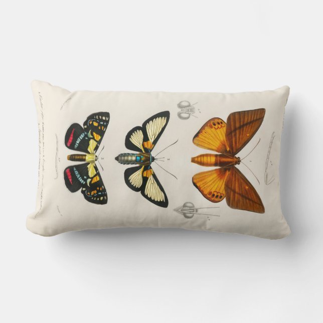 Cojín Lumbar Mariposas de época (Anverso)