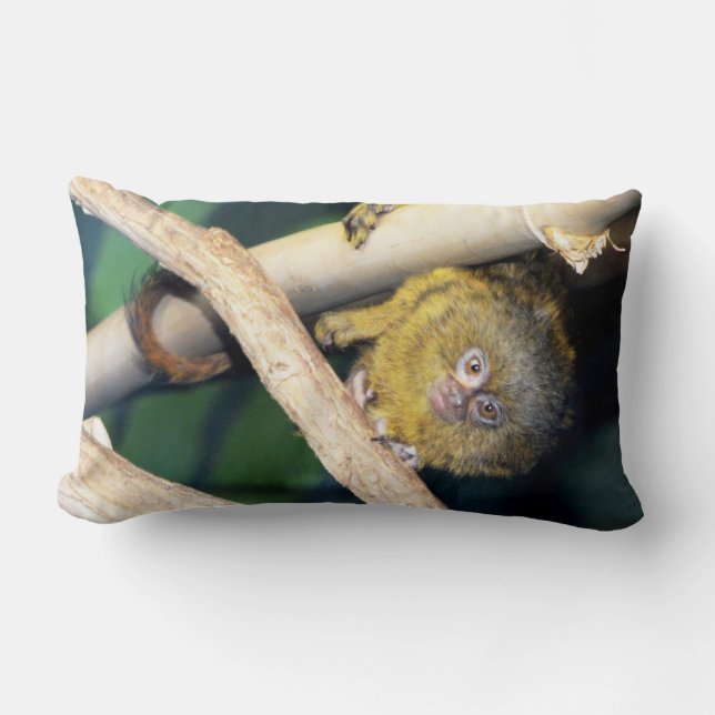 Cojín Lumbar Marmoset Monkey Hola, Lumbar Cushion (Anverso)