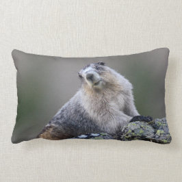 Cojín Lumbar marmota de Alaska