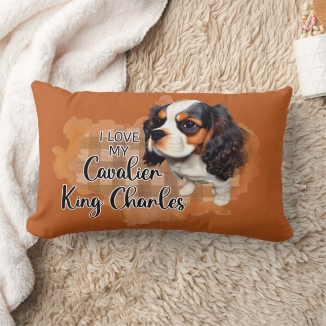 Cojín Lumbar Mascota Pillow (Manta)