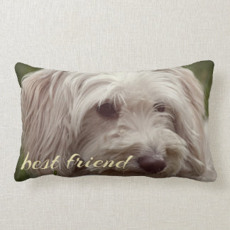 Cojín Lumbar Mejor amigo personalizado acento arrojar almohada.