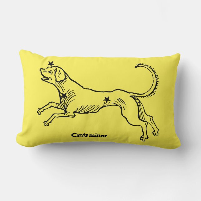 Cojín Lumbar Menor de Canis, 1482 (Anverso)