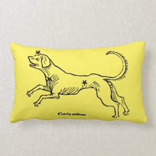 Cojín Lumbar Menor de Canis, 1482