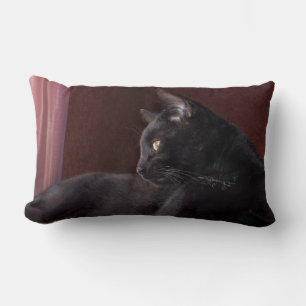 Cojín Lumbar Mi niño, Charlie Lanza Lumbar 13" x 21"