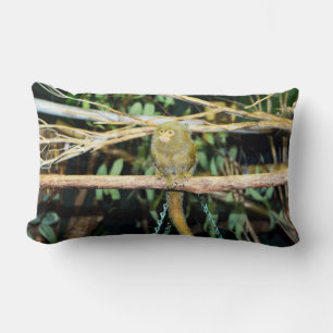 Cojín Lumbar Mono De Marmoset Sentado En Rama, Cushiro Lumbar