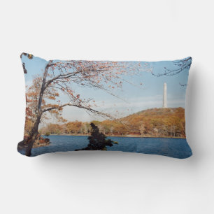 Cojín Lumbar Monumento de punto alto