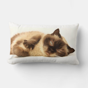 Cojín Lumbar Napa de gato