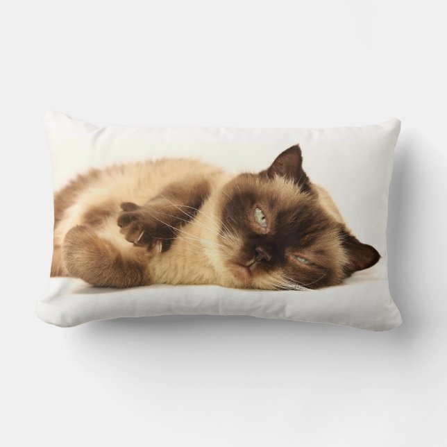 Cojín Lumbar Napa de gato (Anverso)