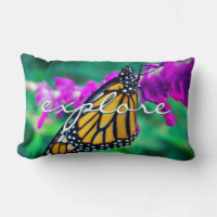 Naranja Monarch Mariposa Foto Explorar Script Negr