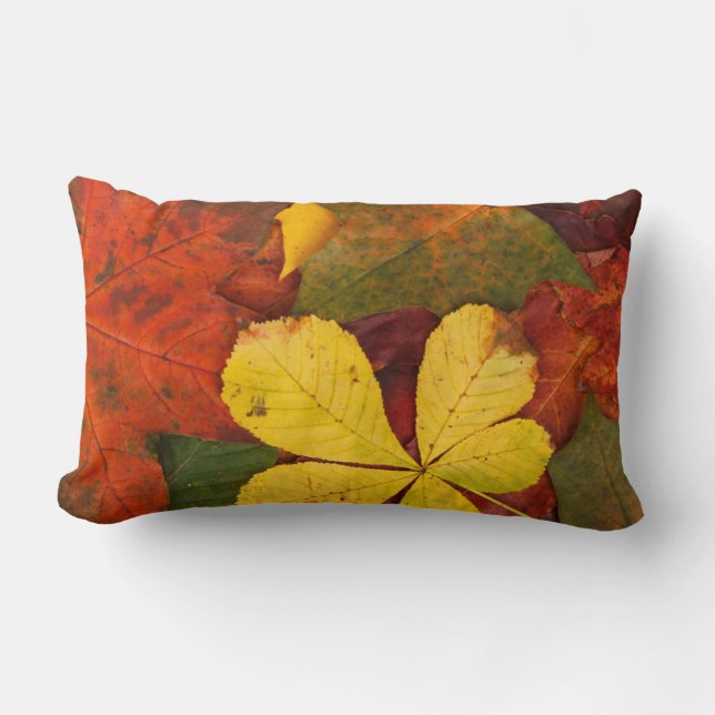 Cojín Lumbar Naranja, Rojo, Amarillo Sale De Otoño Acento Pillo (Anverso)