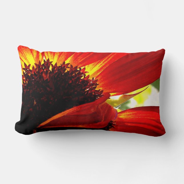 Cojín Lumbar Naranja Rojo Gerbera Daisy Foto Negrita Moderna El (Anverso)